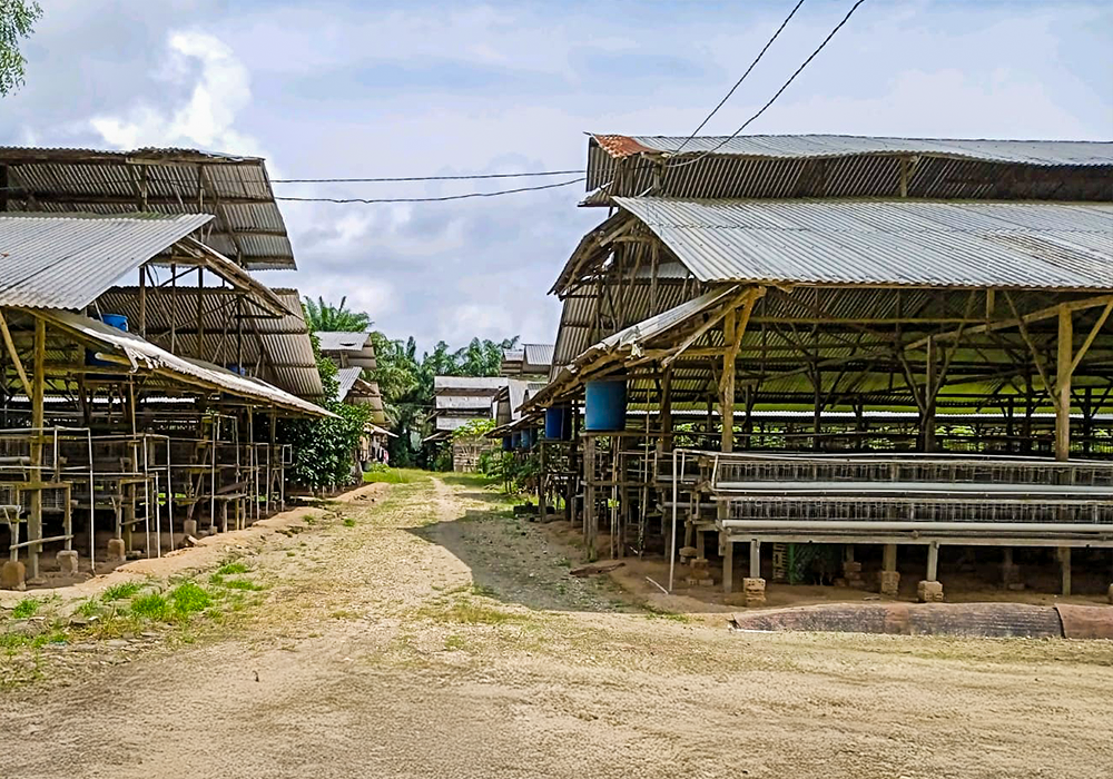 TANAH DI KAB. BANYUASIN - NPL435-3 - foto 2